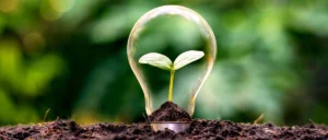 Yaşamı Kolaylaştırmanın 15 Önemli Yolu