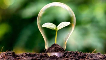 Yaşamı Kolaylaştırmanın 15 Önemli Yolu