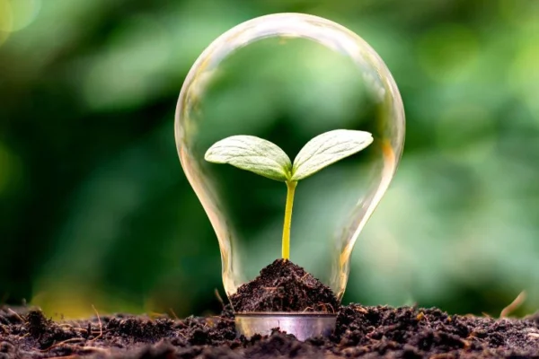 Yaşamı Kolaylaştırmanın 15 Önemli Yolu