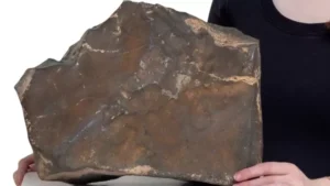 Mars'tan Kopan Göktaşı Açık Artırmaya Çıkıyor: NWA 16788 Satışta