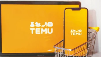 Temu Türkiye'de Resmi Temsilcilik Açıyor