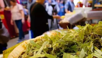 Ihlamur Fiyatları El Yakıyor: Şifalı Bitkinin Kilosu 5 Bin Liraya Ulaştı