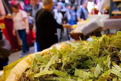 Ihlamur Fiyatları El Yakıyor: Şifalı Bitkinin Kilosu 5 Bin Liraya Ulaştı