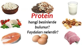 Sağlıklı Protein Kaynakları Nelerdir