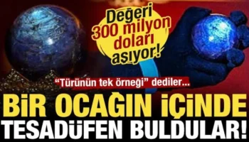 Bir avuç kadar ama değeri 300 milyon doları aşıyor!
