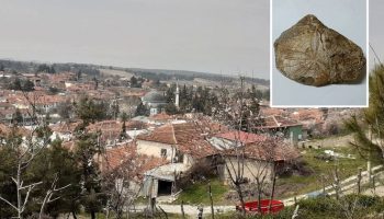 Köyünde Yürürken Tarihe Dokundu! Denizli’de Milyonlarca Yıllık Fosil Heyecanı