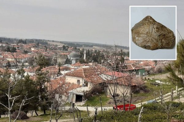 Köyünde Yürürken Tarihe Dokundu! Denizli’de Milyonlarca Yıllık Fosil Heyecanı