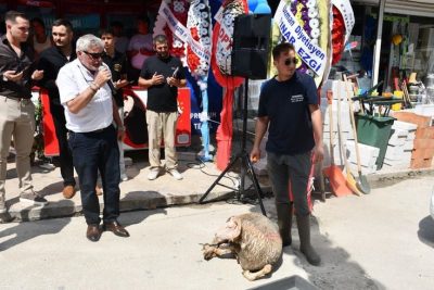 Tekel bayi