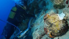 Antalya'da 4 Bin 700 Yıllık Batık Keşfi